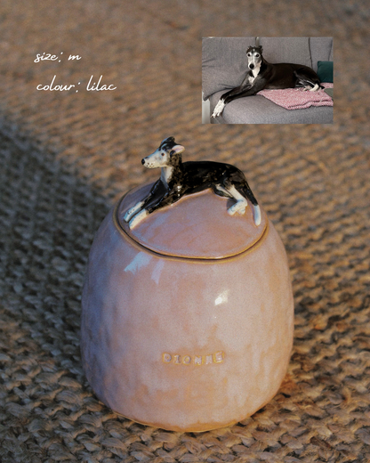 Pet Urn