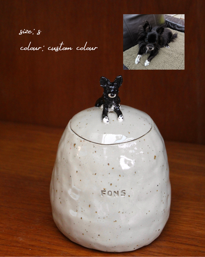 Pet Urn