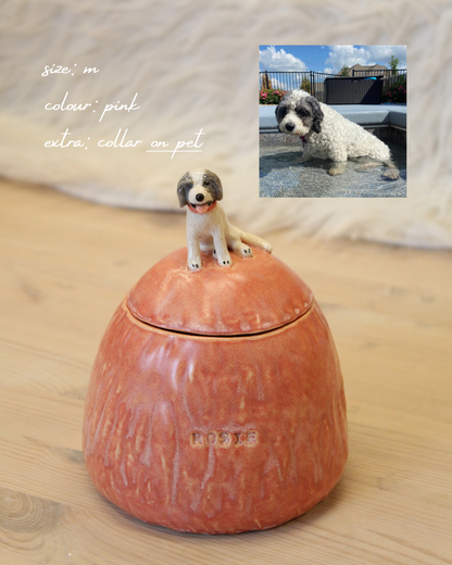 Pet Urn