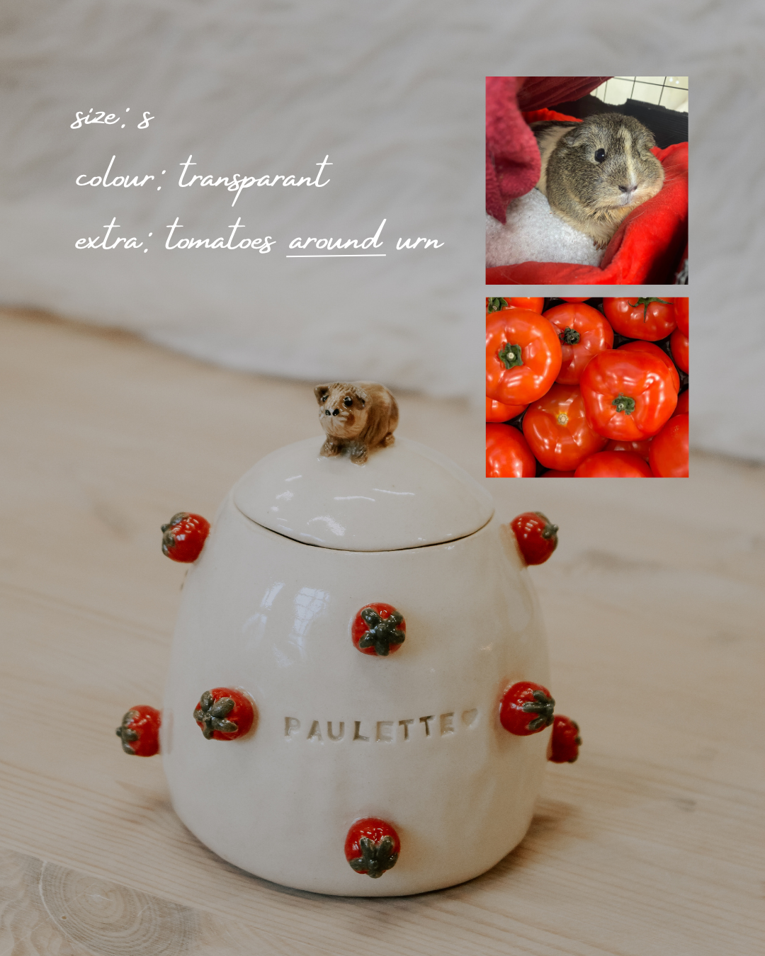 Pet Urn