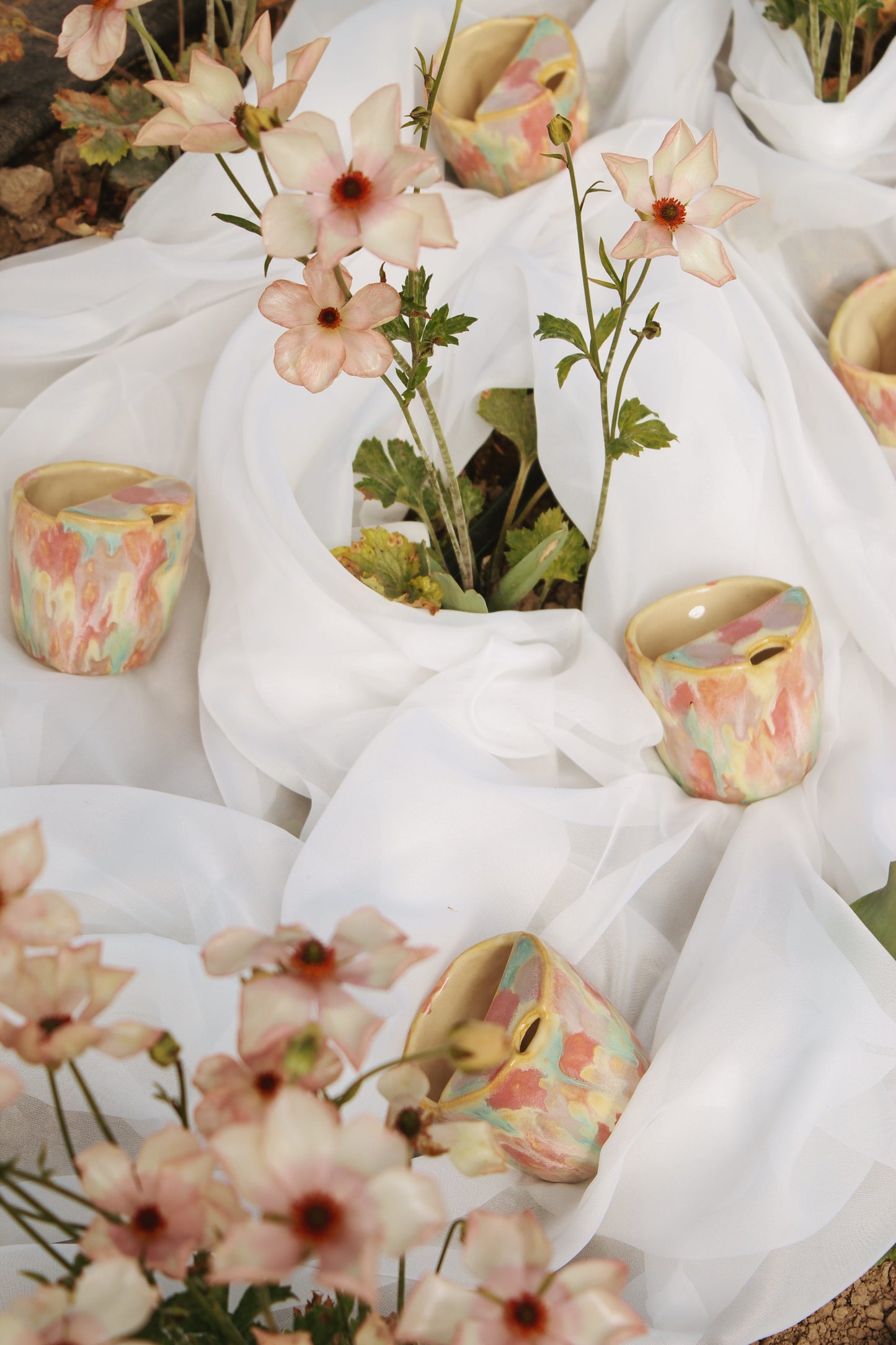 The Blossom Cup