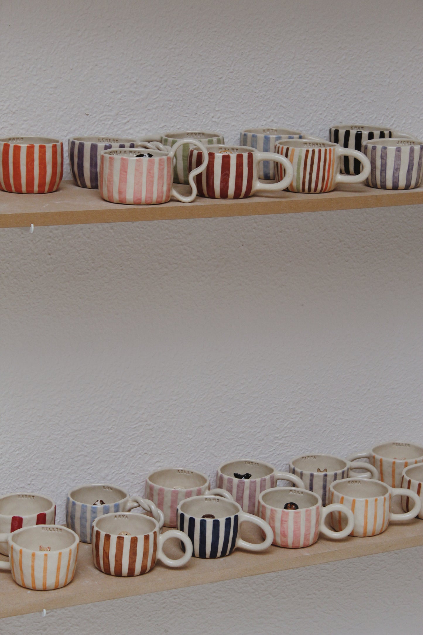 Petmug Workshop