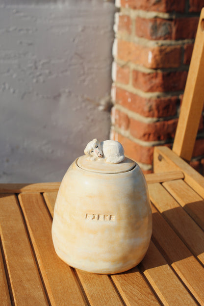 Pet Urn