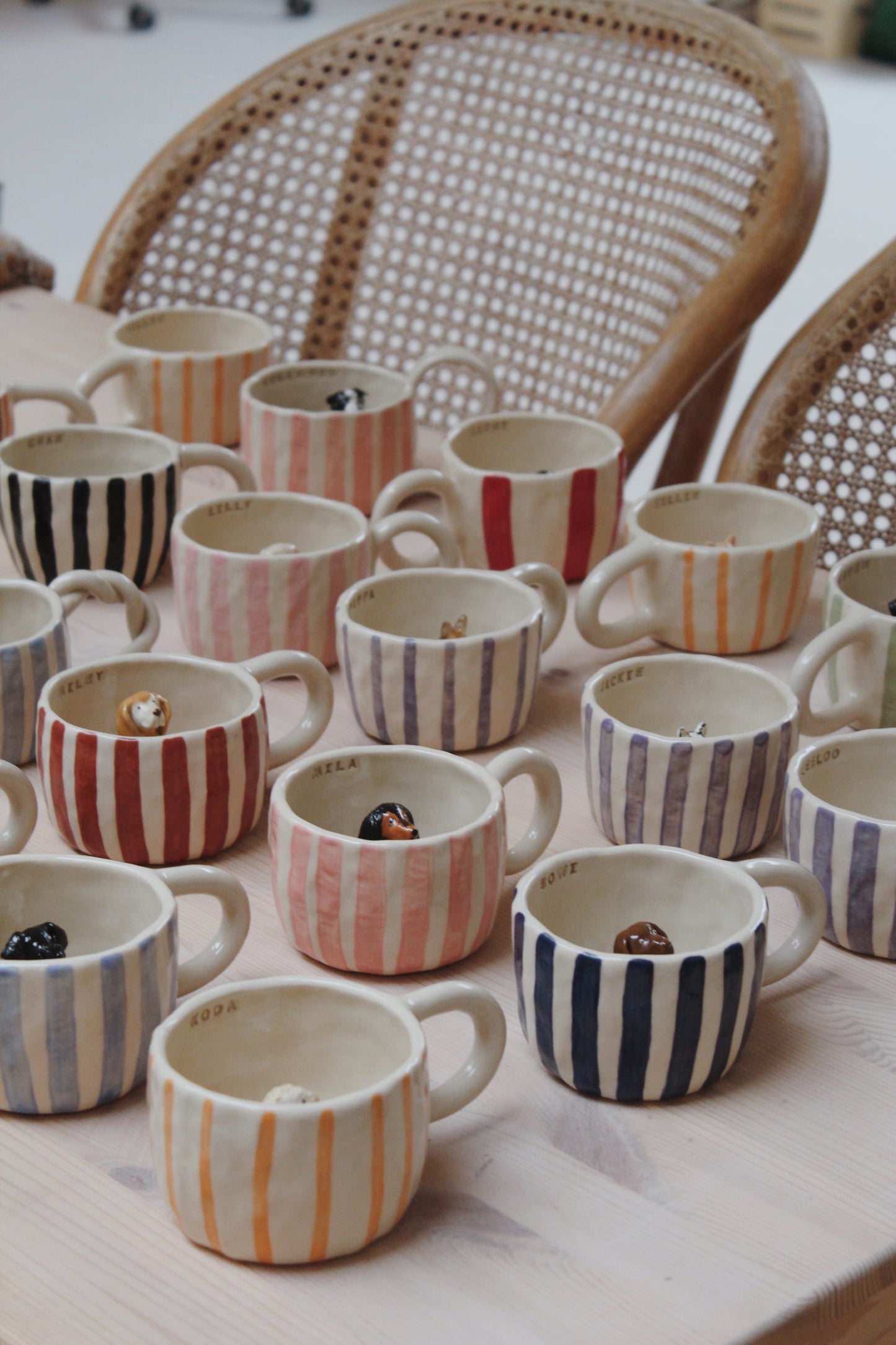 Petmug Workshop