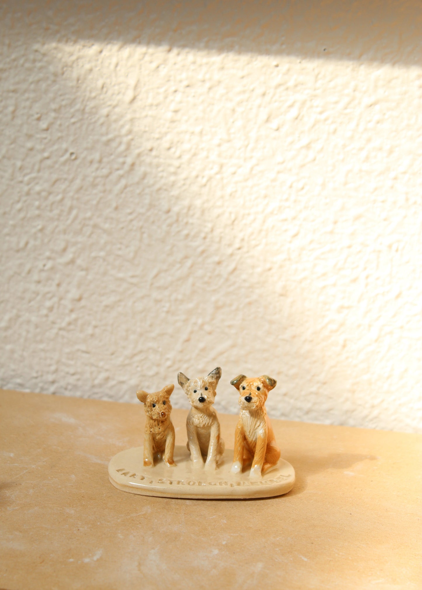 Ceramic Pet Workshop